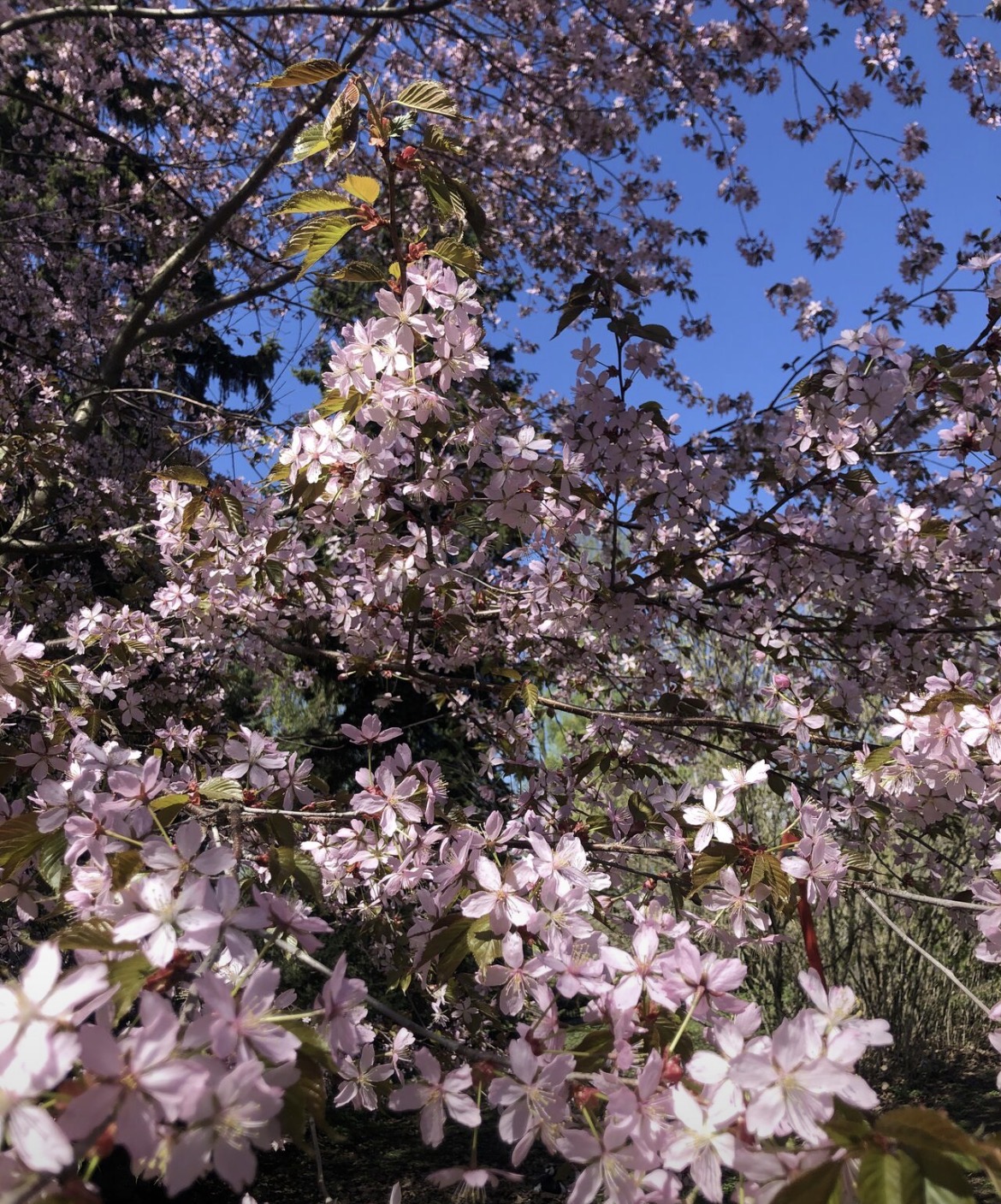 Kuva: ⭐️Työhyvinvointi ei ole vain yksilön vastuulla – se on yhteisön ominaisuus