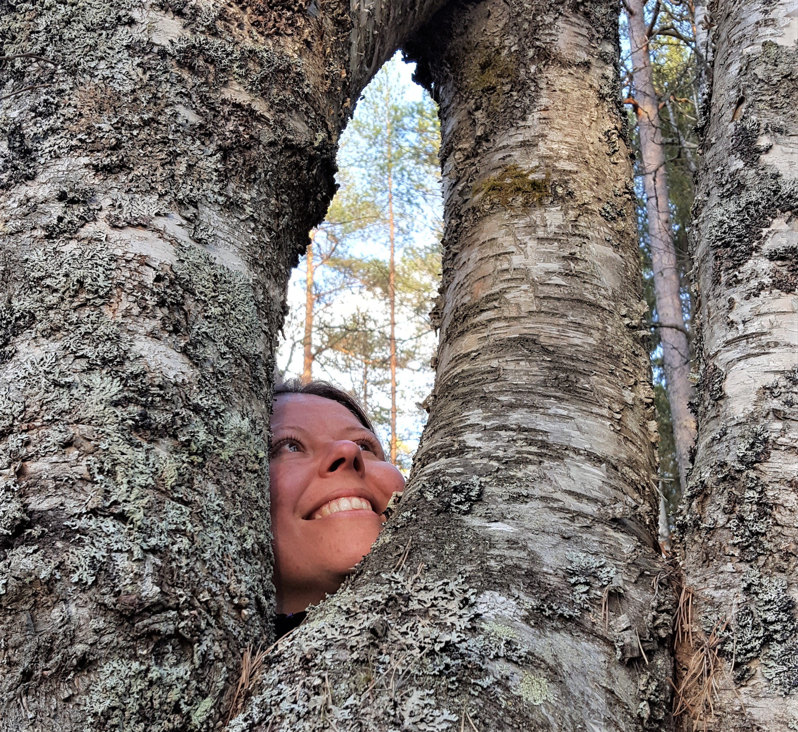 Kuva: Miten voit hyötyä työnohjauksesta?