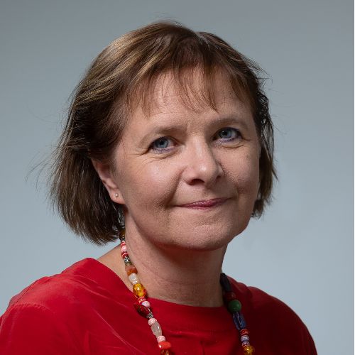 Profiilikuva: Sari Somer