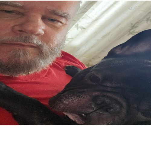 Profiilikuva: Erkki Pohjola