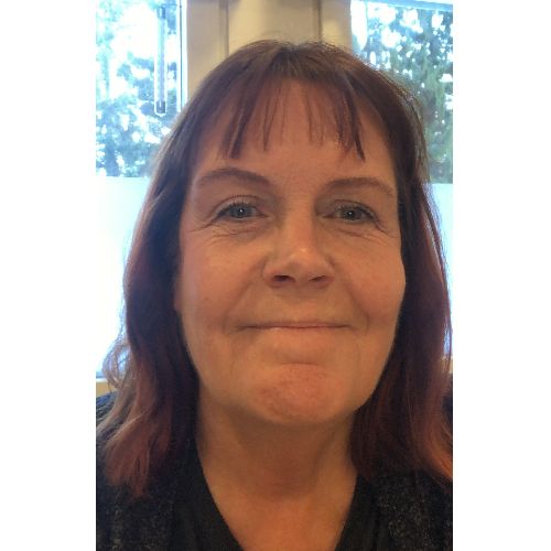 Profiilikuva: Pauliina Sarajärvi